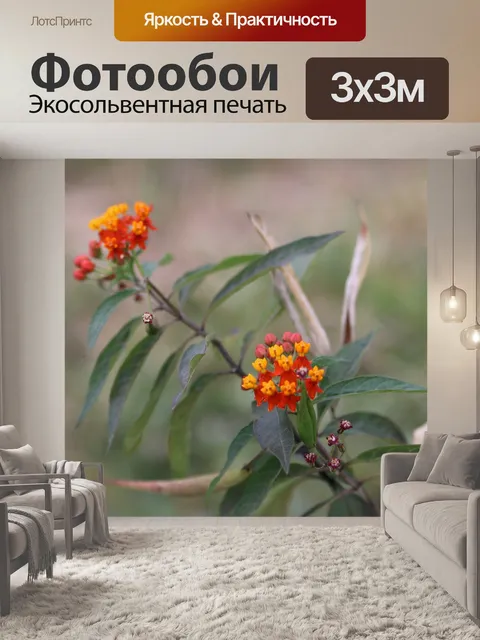 Фотообои Цветы