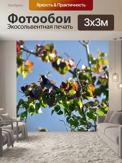 Фотообои Вуд