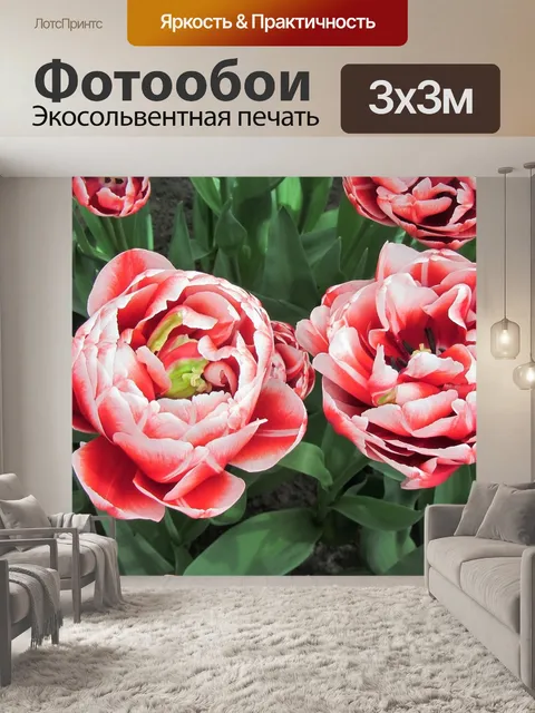 Фотообои Тюльпаны