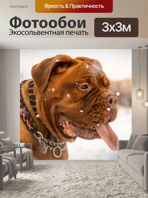 Фотообои Животное