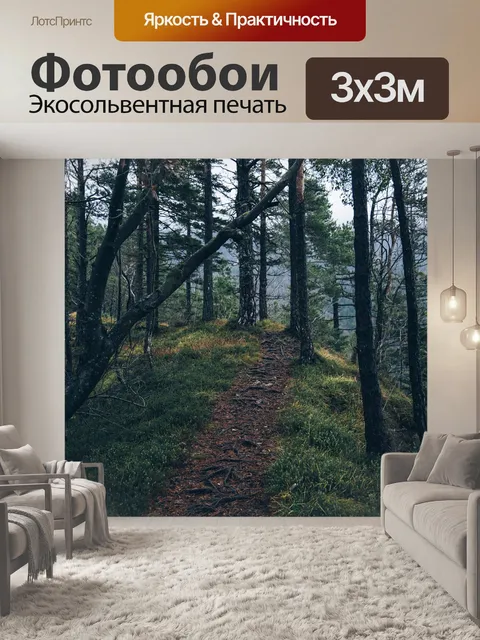 Фотообои Лес
