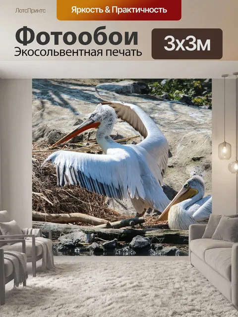 Фотообои Животные