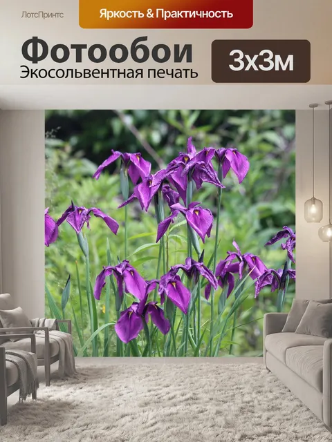 Фотообои Ирис