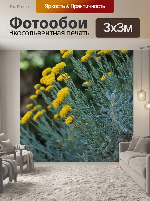 Фотообои Поле