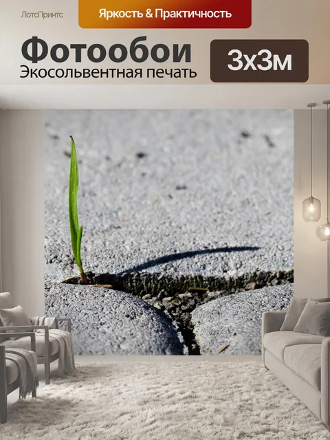 Фотообои Острие травы