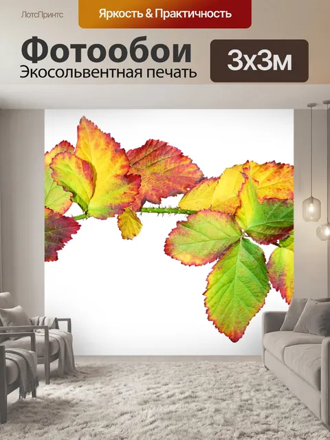 Фотообои Листья