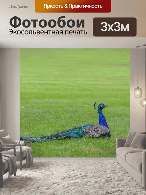 Фотообои Трава