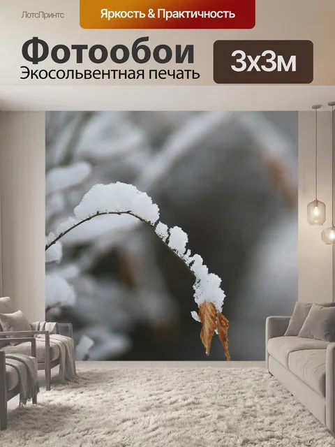 Фотообои Листья