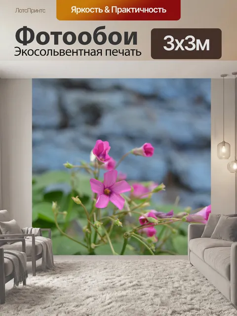 Фотообои Цветок
