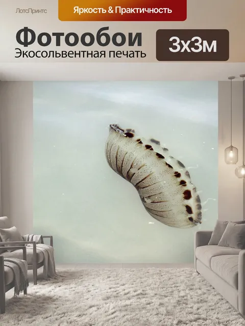 Фотообои Медуза