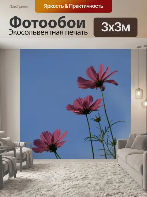 Фотообои космос на синем небе