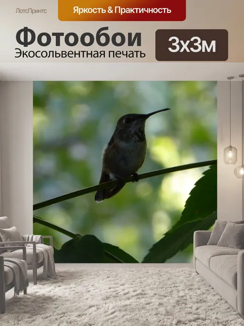 Фотообои Колибри в дереве