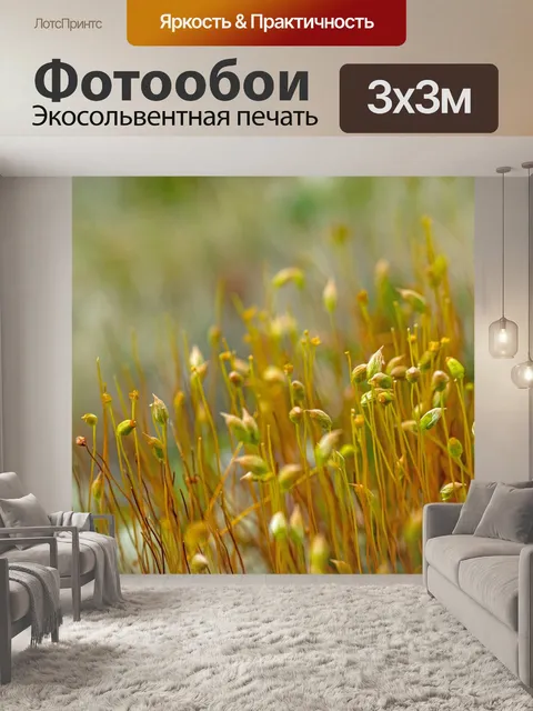 Фотообои Швеция