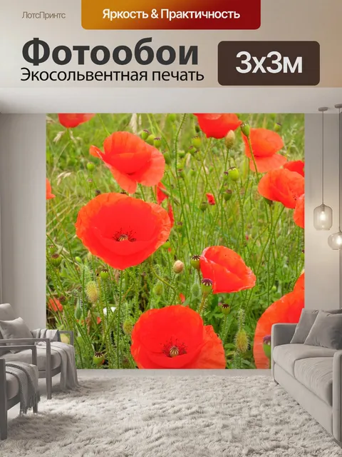 Фотообои Маковое поле 2