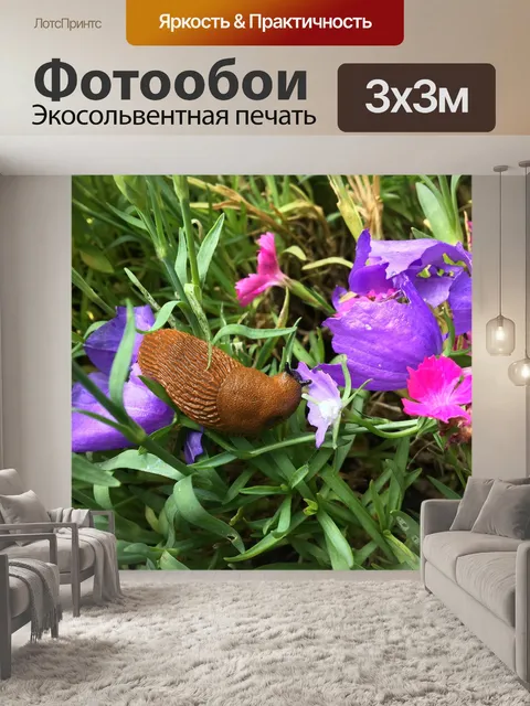 Фотообои Животное