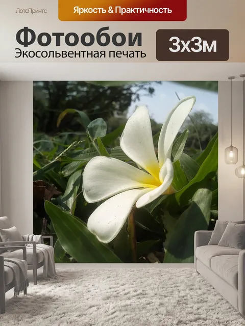 Фотообои Цветок