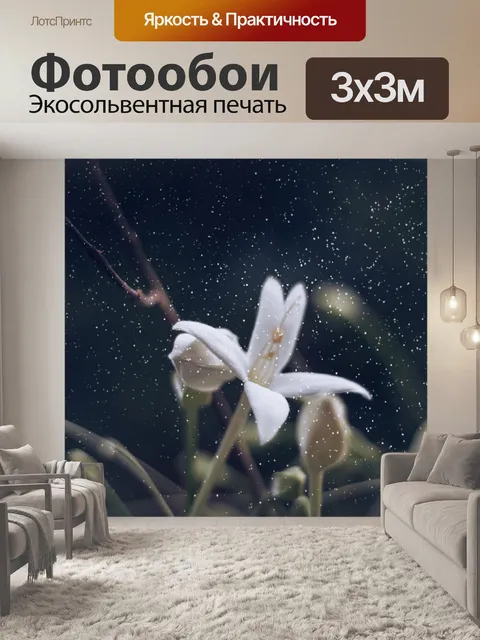 Фотообои Цветок