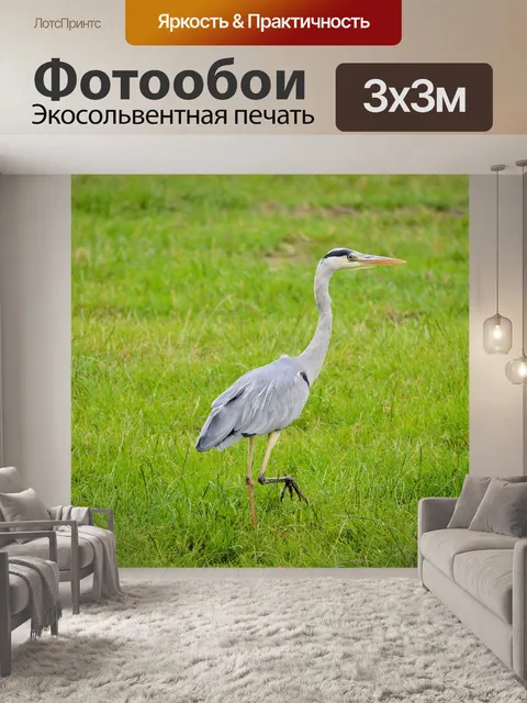 Фотообои Цапля