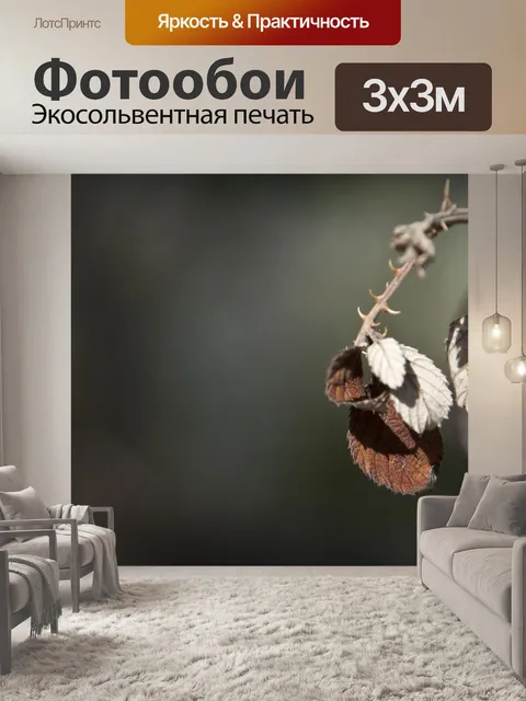 Фотообои Природа