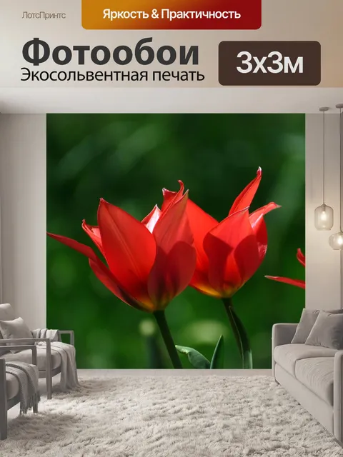 Фотообои Тюльпаны