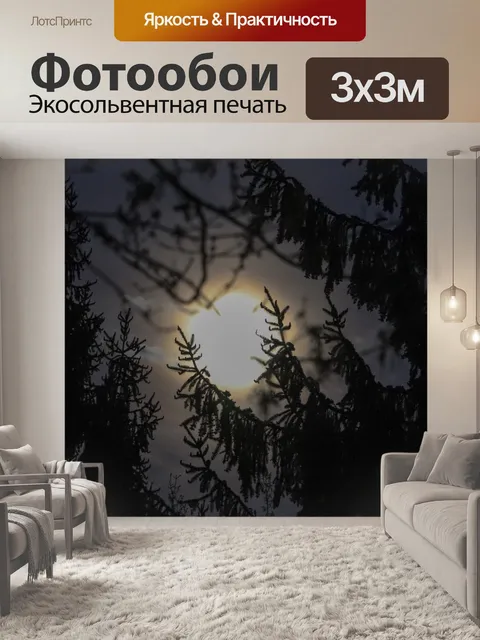Фотообои Дерево