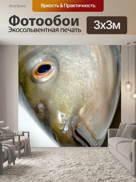 Фотообои Пресноводная рыба фото
