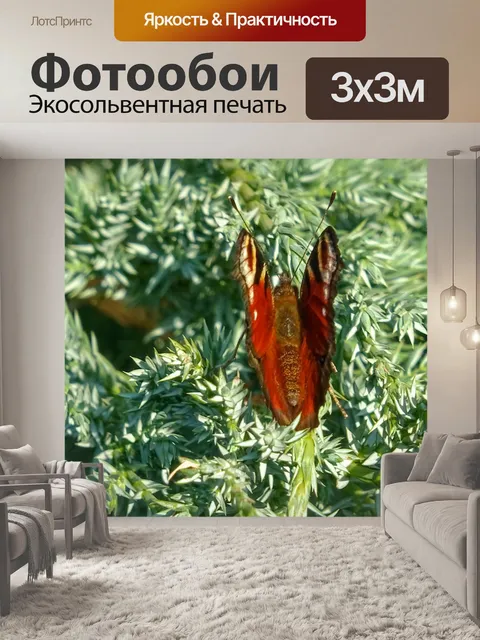 Фотообои Садовая бабочка