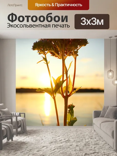 Фотообои Цветок в закат