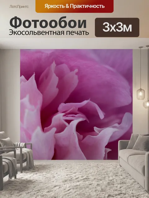 Фотообои Пионы