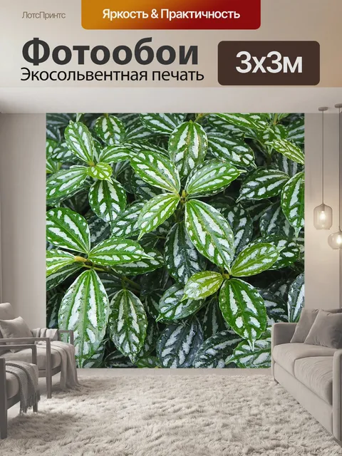 Фотообои Листья