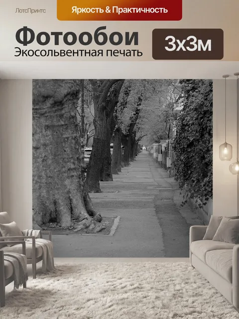 Фотообои Улица