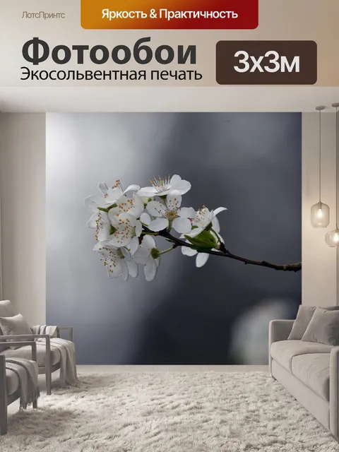Фотообои Белые цветки