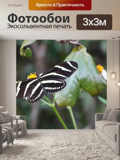 Фотообои бабочка