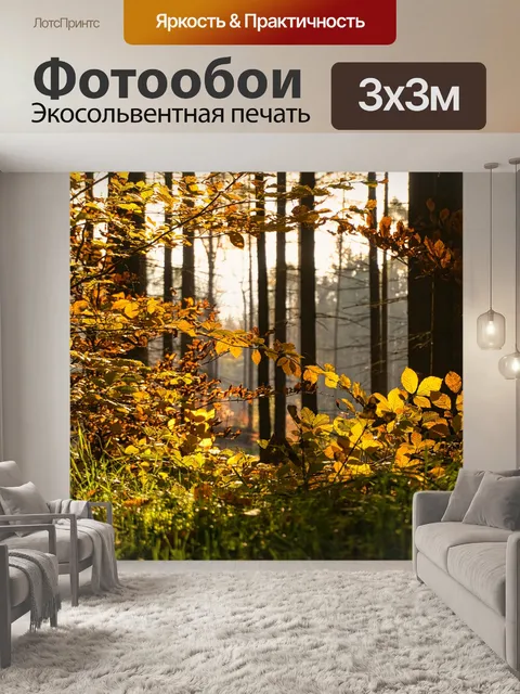 Фотообои Лес
