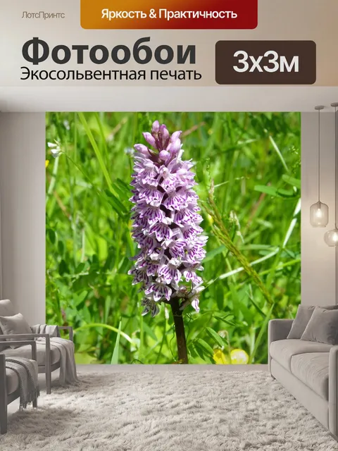 Фотообои Цветы