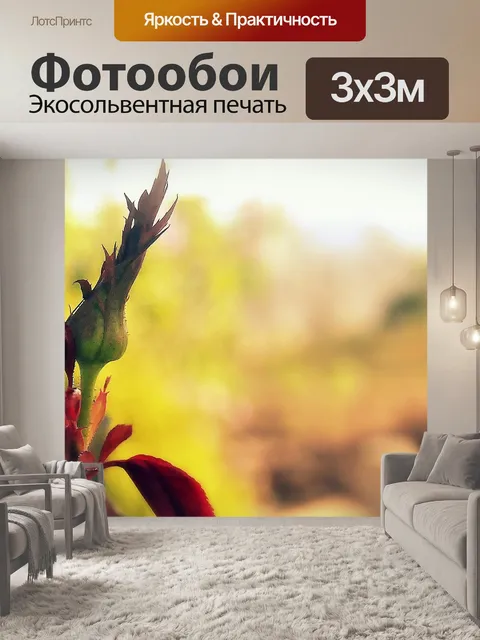 Фотообои Роза