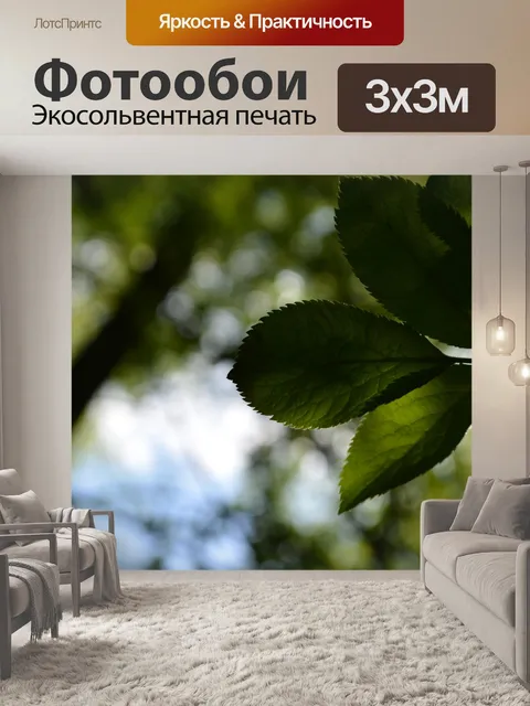 Фотообои Листья