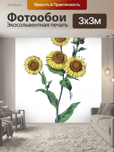 Фотообои Цветы клипарт графический рисунок