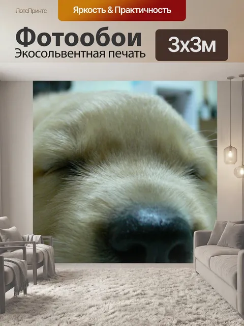Фотообои Собака