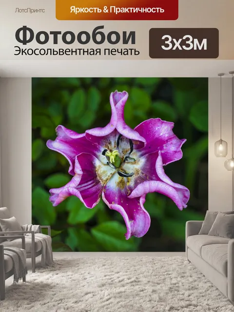 Фотообои Цветок