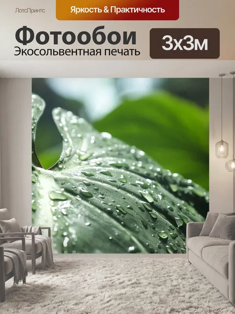 Фотообои Фокус