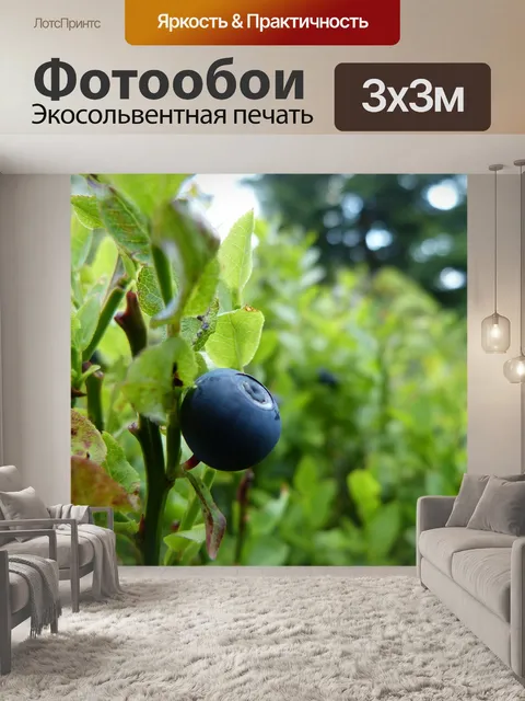 Фотообои Черника