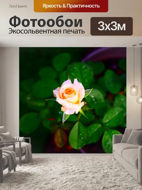 Фотообои Темный