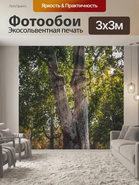 Фотообои Деревья