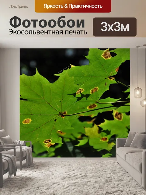 Фотообои Листья