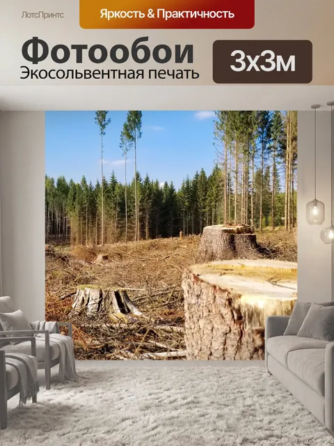 Фотообои Вырубка леса