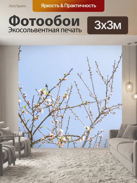 Фотообои Цветы