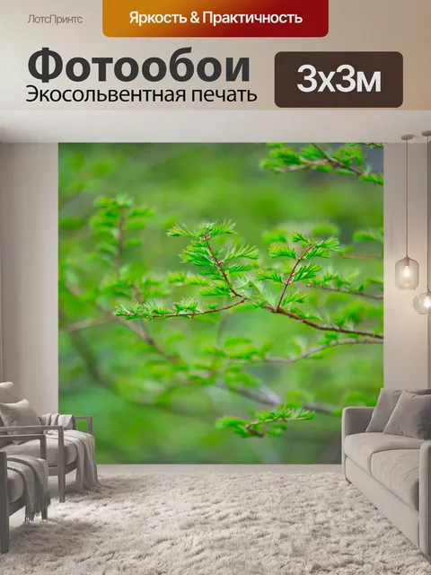Фотообои Ветвь дерева