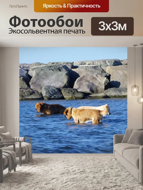 Фотообои Собака