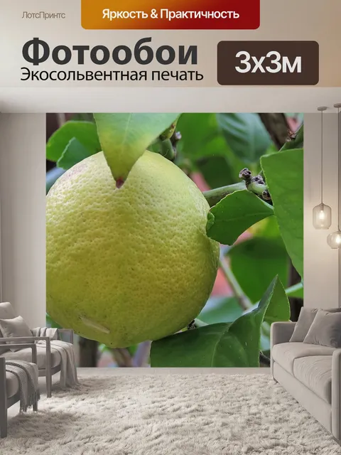 Фотообои Лимон